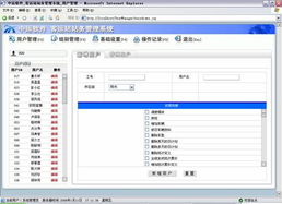 鏈接智慧，驅(qū)動(dòng)未來 廣州中運(yùn)計(jì)算機(jī)軟件有限公司的計(jì)算機(jī)系統(tǒng)服務(wù)體系